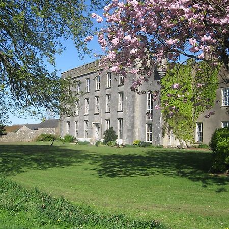 Ash Hill B & B Kilmallock Εξωτερικό φωτογραφία