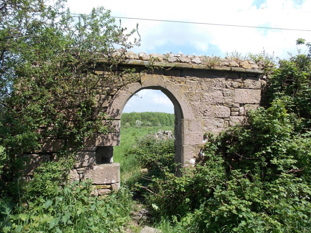 Ash Hill B & B Kilmallock Εξωτερικό φωτογραφία