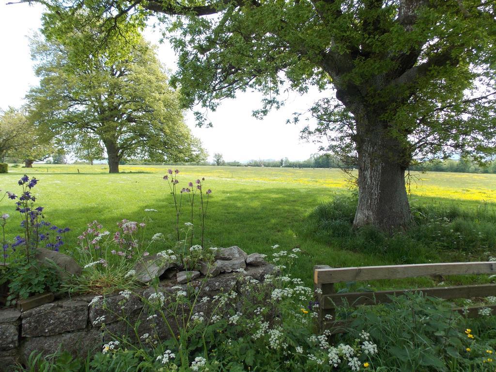 Ash Hill B & B Kilmallock Δωμάτιο φωτογραφία