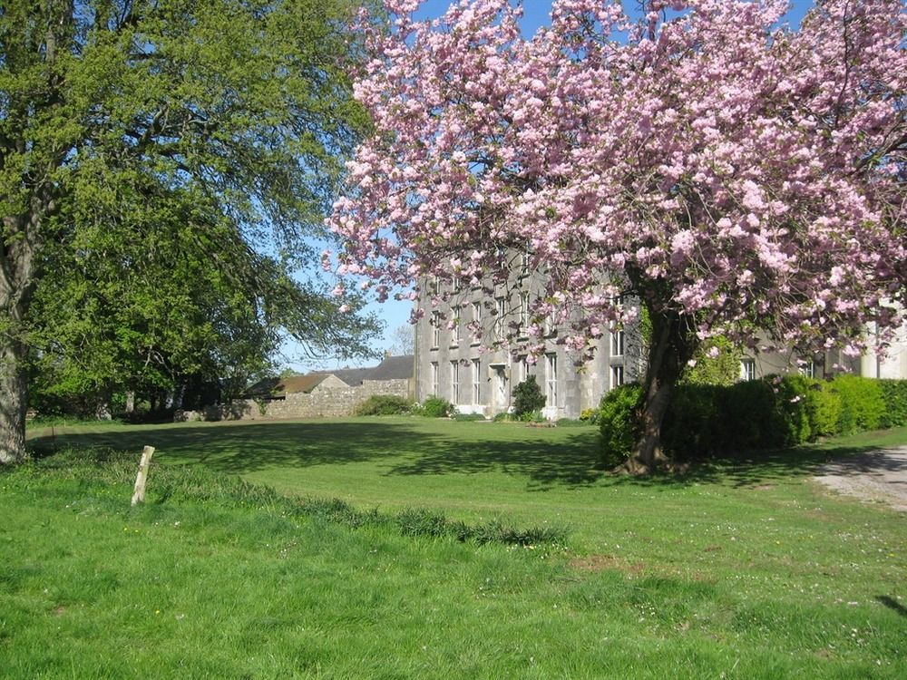 Ash Hill B & B Kilmallock Εξωτερικό φωτογραφία