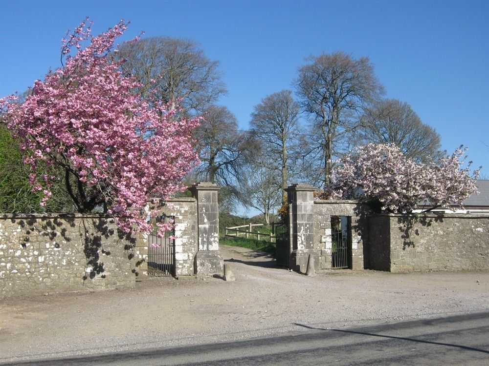 Ash Hill B & B Kilmallock Εξωτερικό φωτογραφία